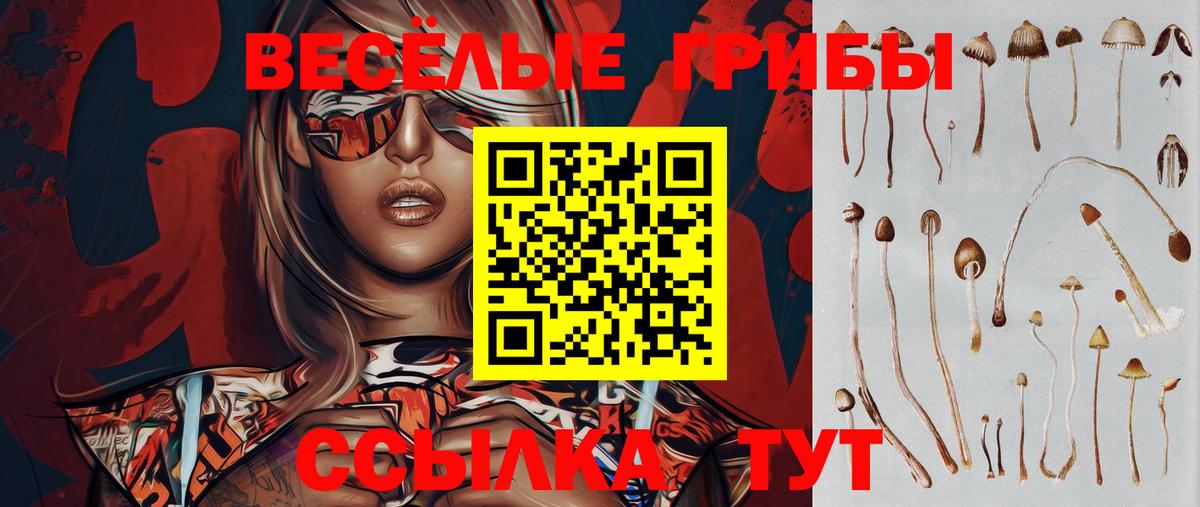 наркота  Вход с VPN  Ржев  Галлюциногенные грибы ЛСД 